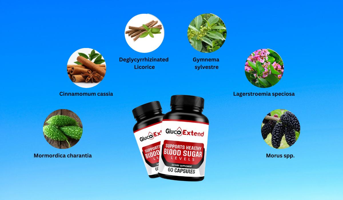 Gluco Extend Ingredients