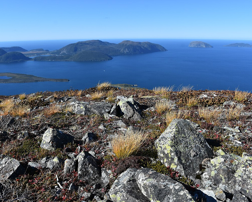 View of Newfoundland with rugged cliffs and ocean.