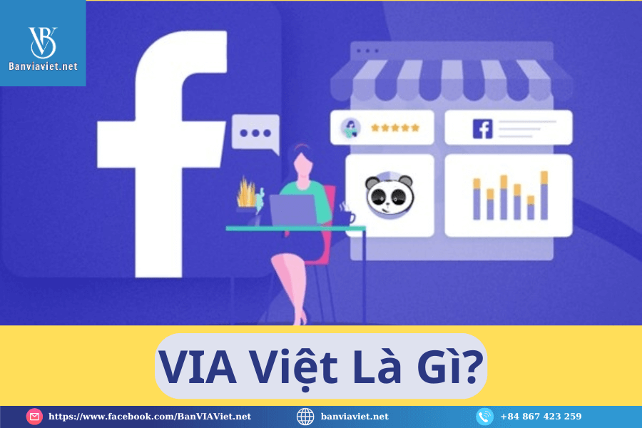 VIA Việt là gì?