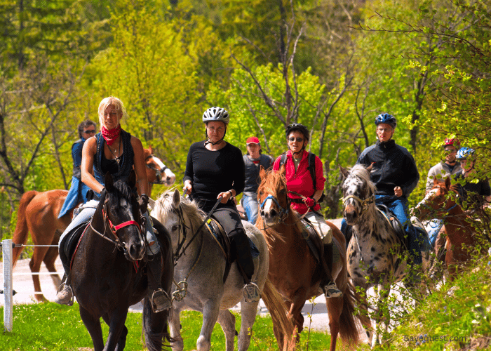 Is Horseback Riding an Individual or Team Sport?