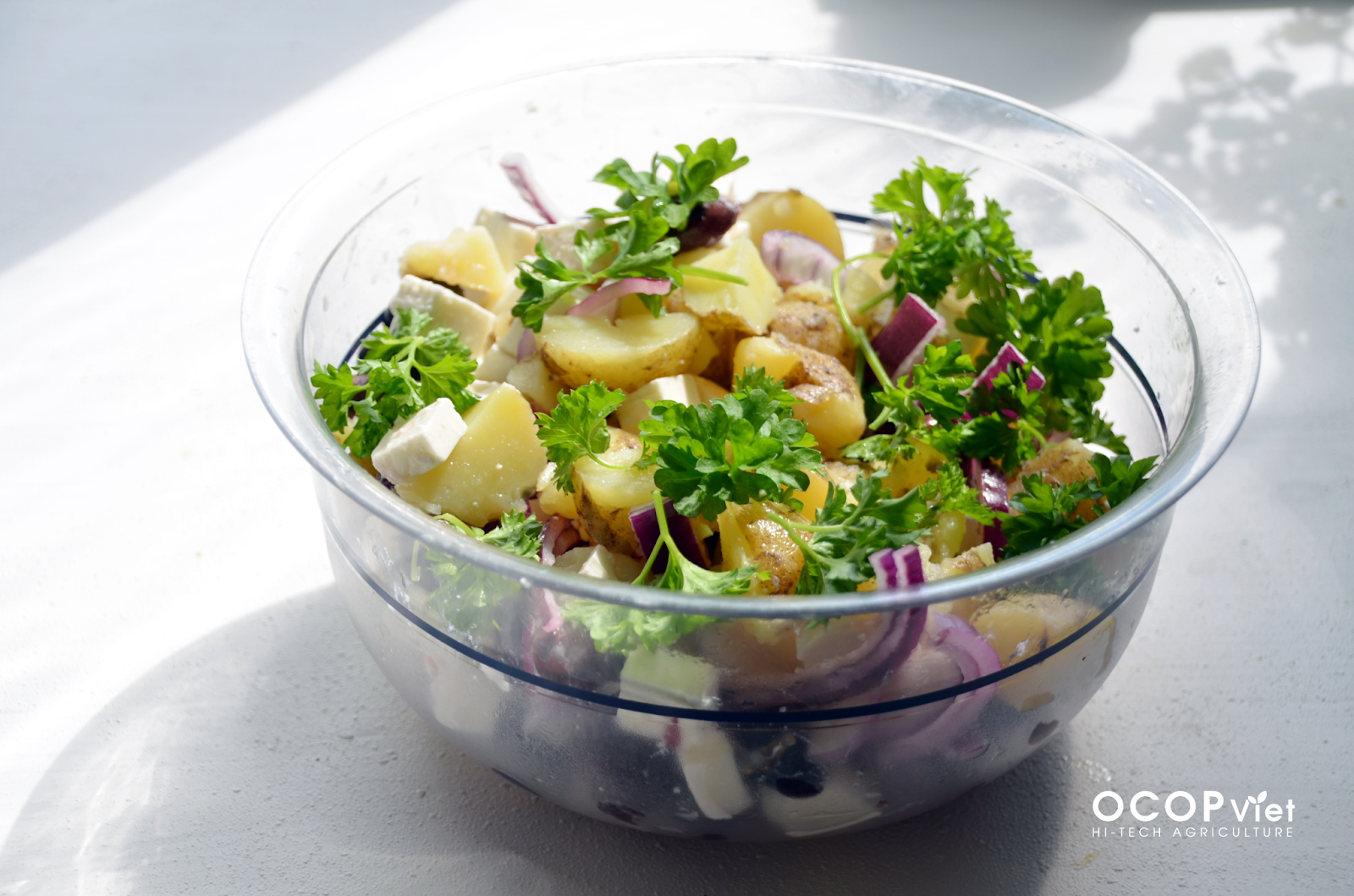 salad trái cây