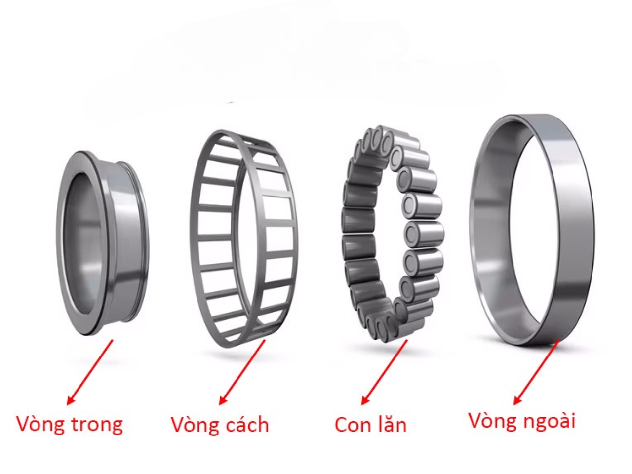 Alt text: Sơ đồ cấu tạo vòng bi côn một dãy với cụm Côn (Cone) và Chén (Cup) tách rời.  Sơ đồ cấu tạo sản phẩm