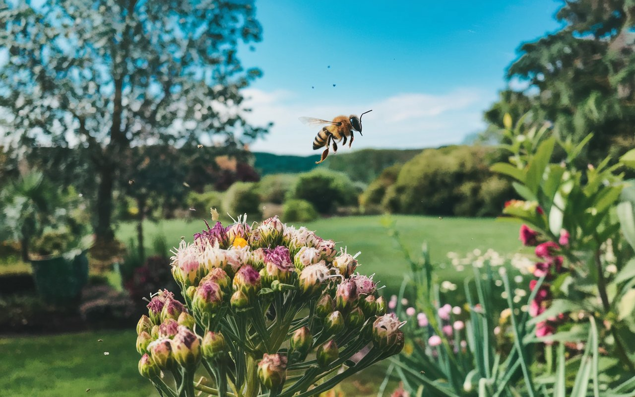 A Worker Bee has a Mass of 0.00011 .