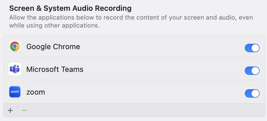 screen and system audio recording options