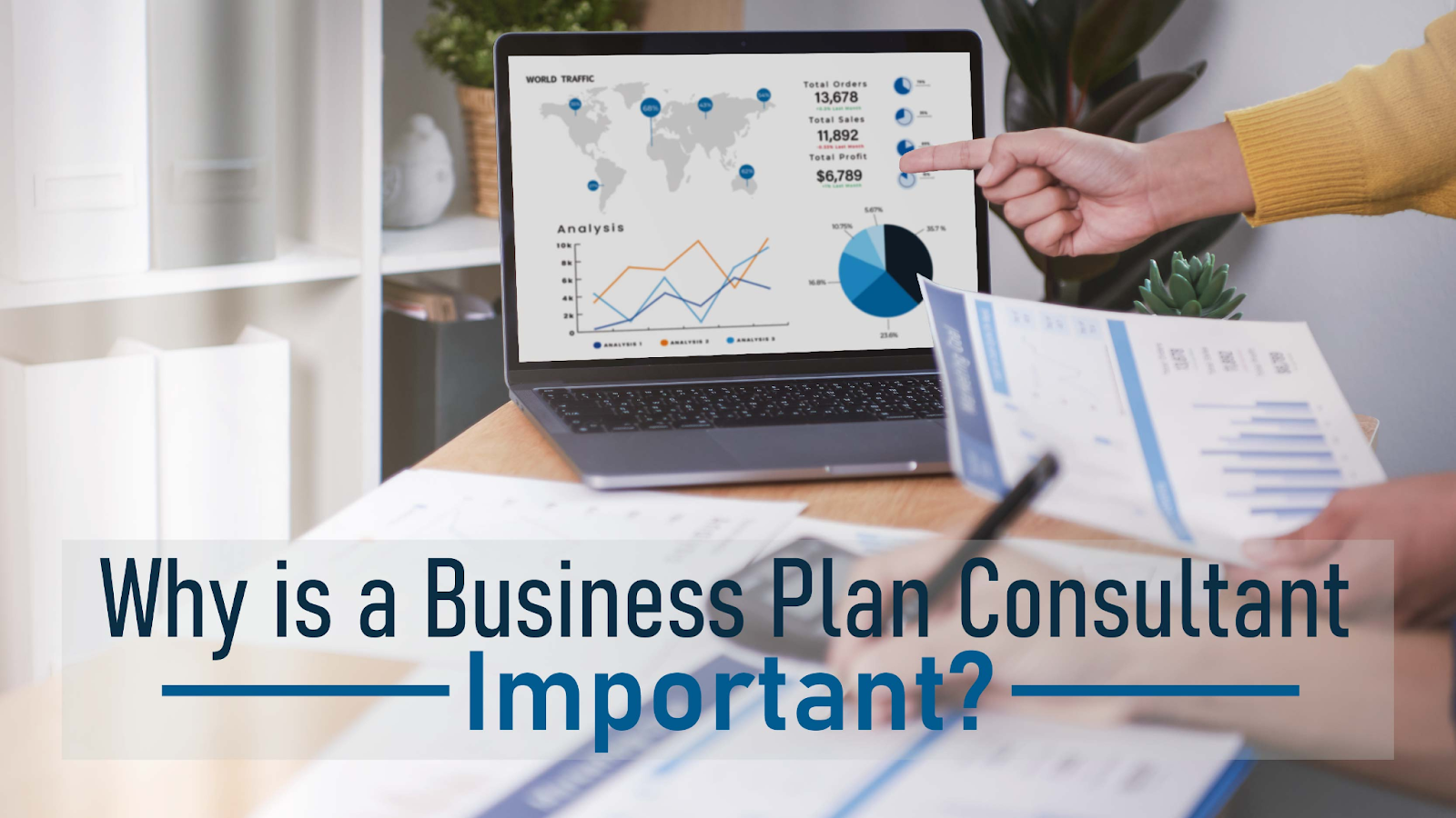 business plan consulting service