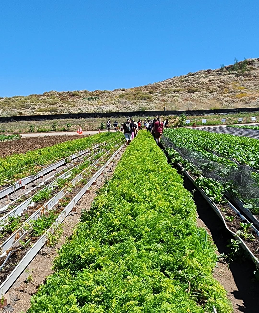 Nature at Tanaka Farms