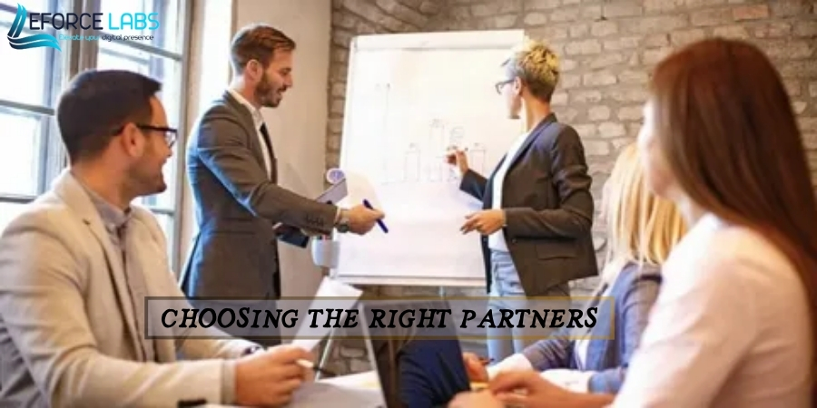 Choosing the Right Software and SEO Partners