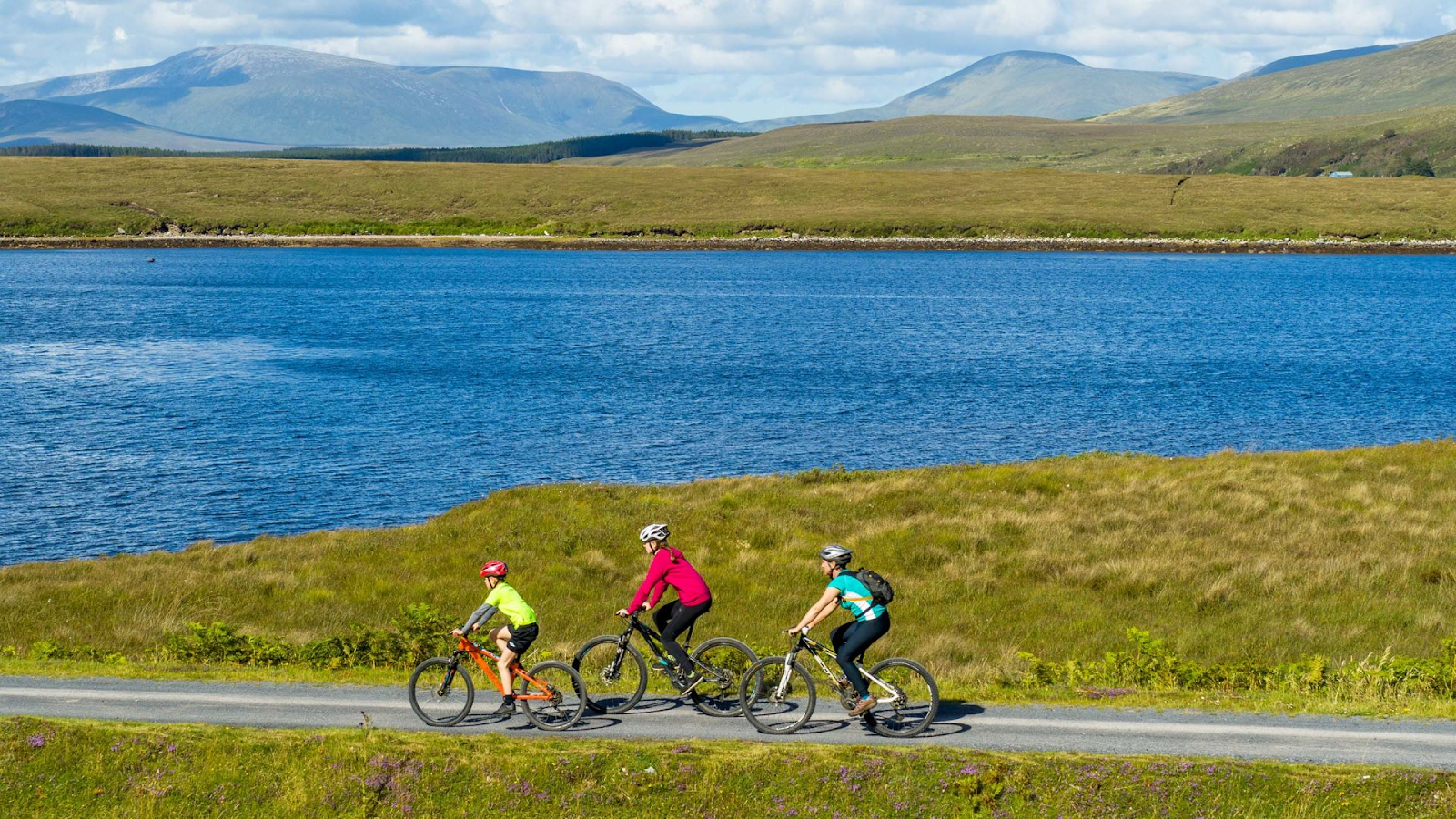 Ride, Bloom, Repeat: Ireland’s Spring Like You’ve Never Seen It - Pogo Cycles