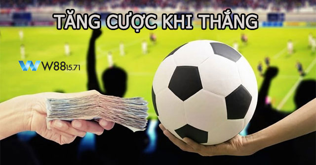 Cách Quản Lý Vốn Trong Cá Cược