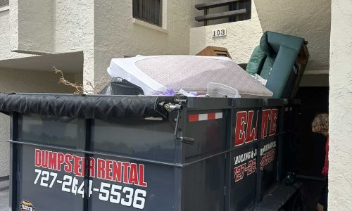 The Environmental Impact of Dumpster Rentals