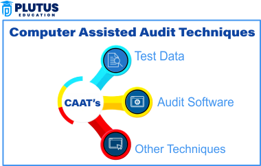 Computer Assisted Audit Techniques