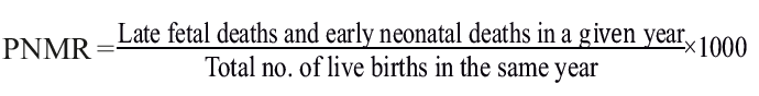  Perinatal Mortality Rate