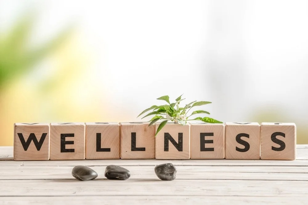 Unlocking the Future of Wellness with Data-Driven Health Insights