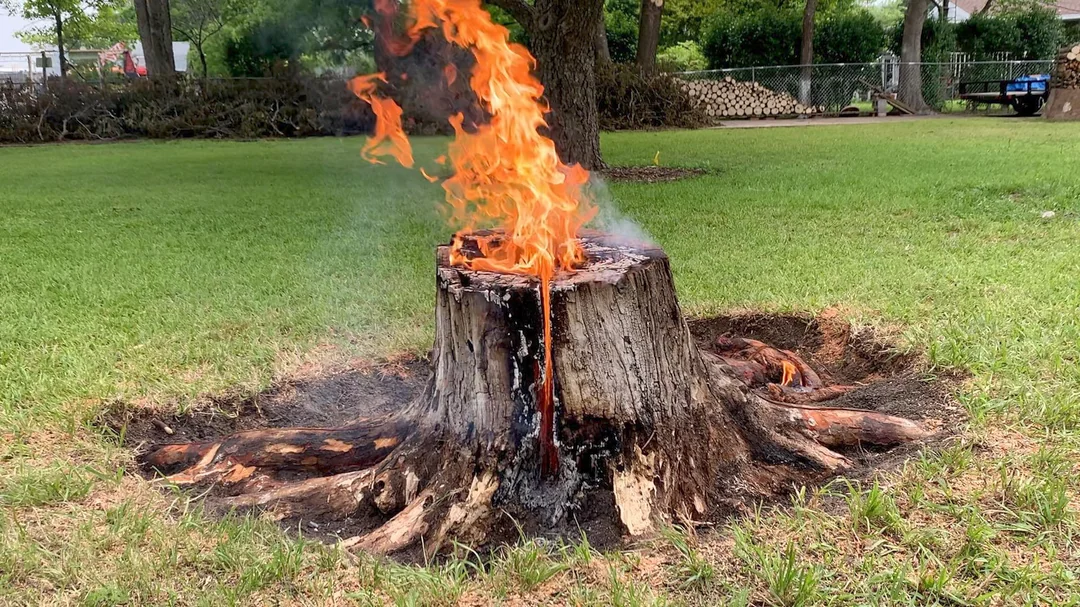 Burning the Stump