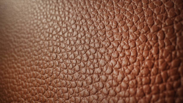 4 Things to Know Before Buying a Leather Jacket. Second Image of this blog
