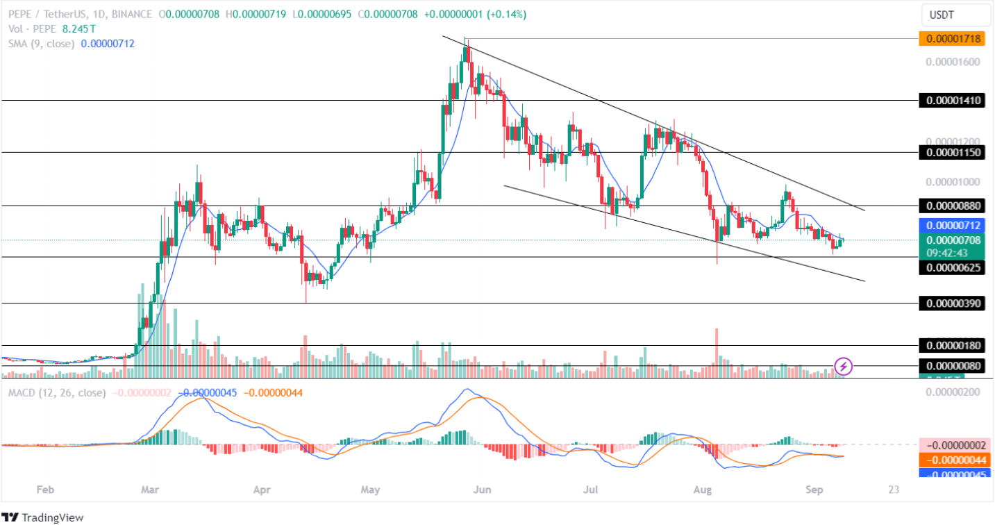 Pepe Price Analysis September 2024