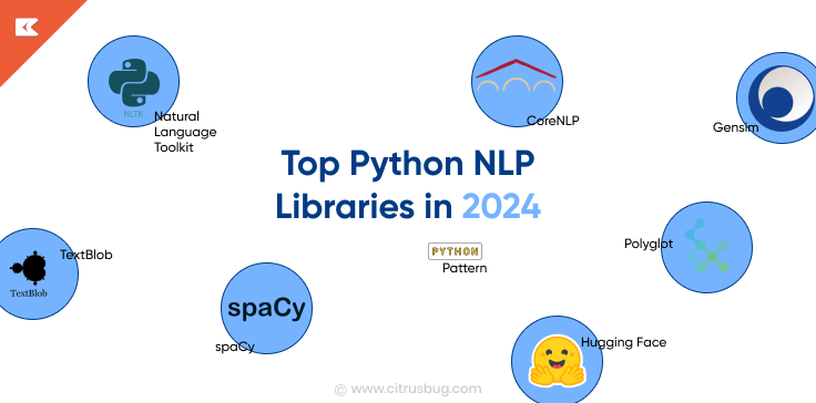 Top Python NLP Libraries in 2024