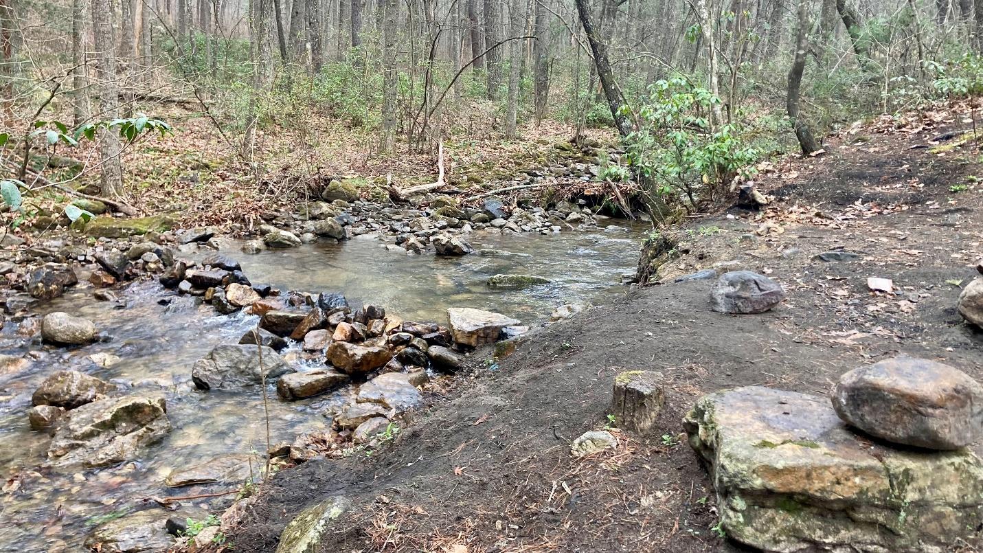 A stream in the woods

AI-generated content may be incorrect.