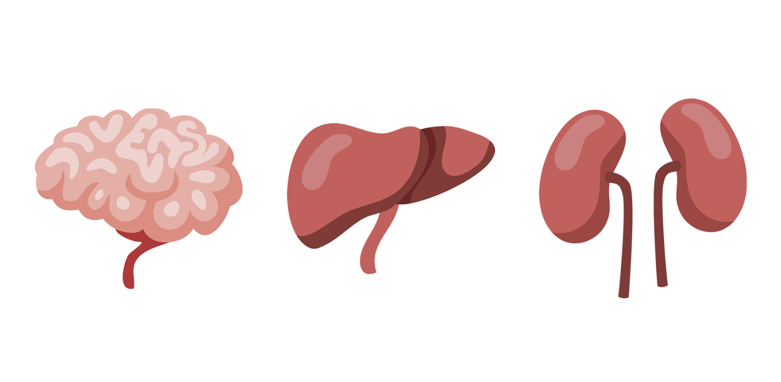 Illustrations representing Clavien-Dindo Scale Grade IV complications effects on brain, liver, and kidneys.