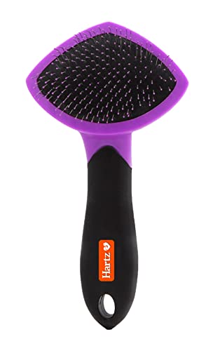 best-small-slicker-brush-for-cats-and-small-dogs