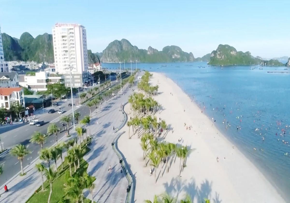 A beach with palm trees and a body of water

Description automatically generated