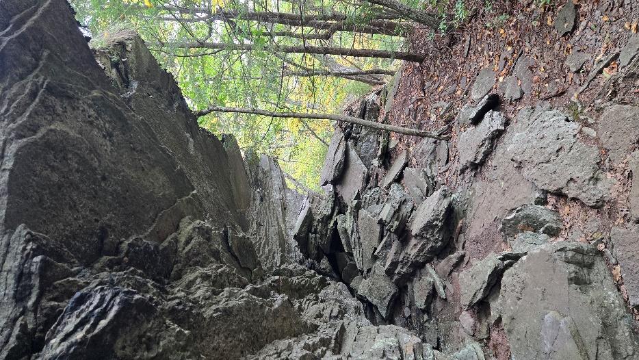 A rocky cliff with trees in the background

Description automatically generated