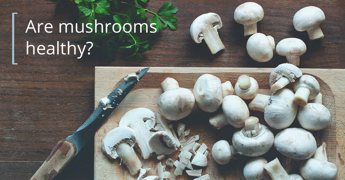 Uses of Mushrooms