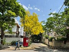 Green Park, Delhi - Wikipedia