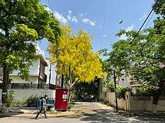 Green Park, Delhi - Wikipedia