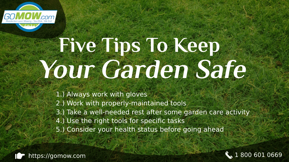 Fertilizing Safety Tips