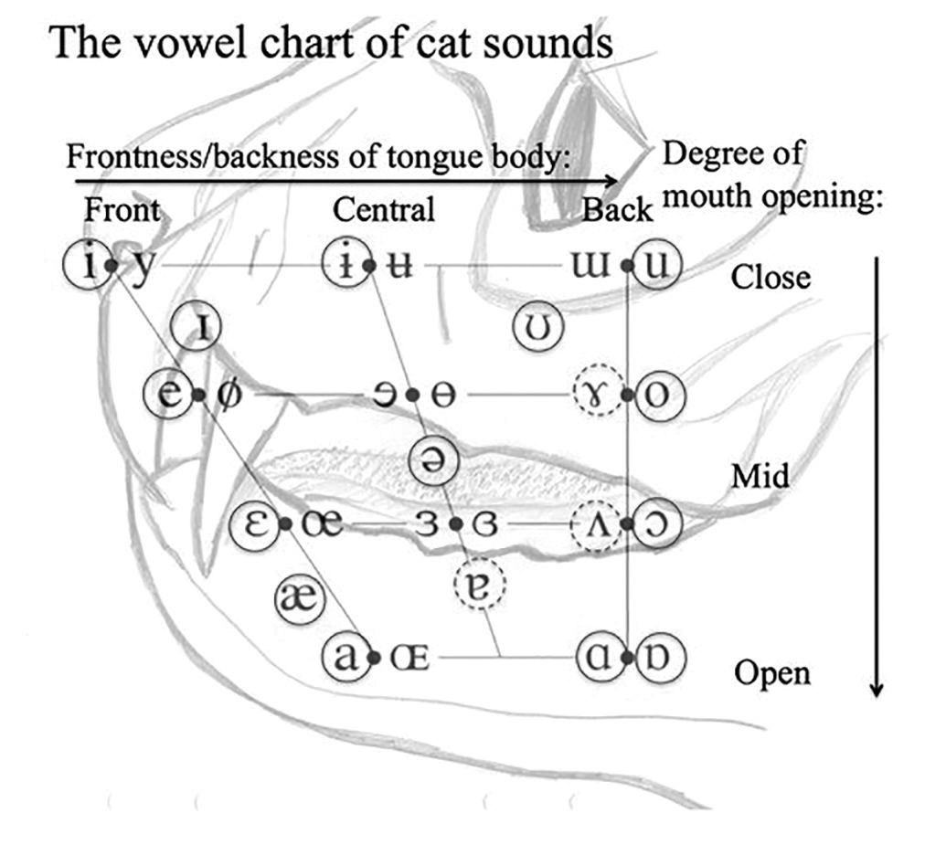 vowel_sounds_BW.png
