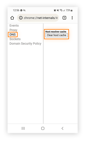 Go to DNS > Clear host cache to delete incognito history on your phone and clear DNS cache.