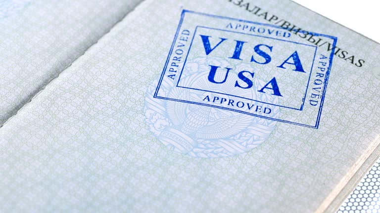 Passport stamp showing approved visa status