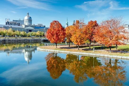 How to embrace the last bit of fall in Montréal – Lonely Planet - Lonely  Planet