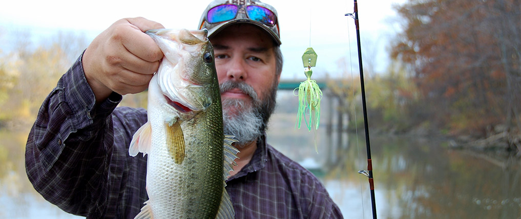 When is the Best Time to Go Fishing for Bass: Expert Tips Revealed