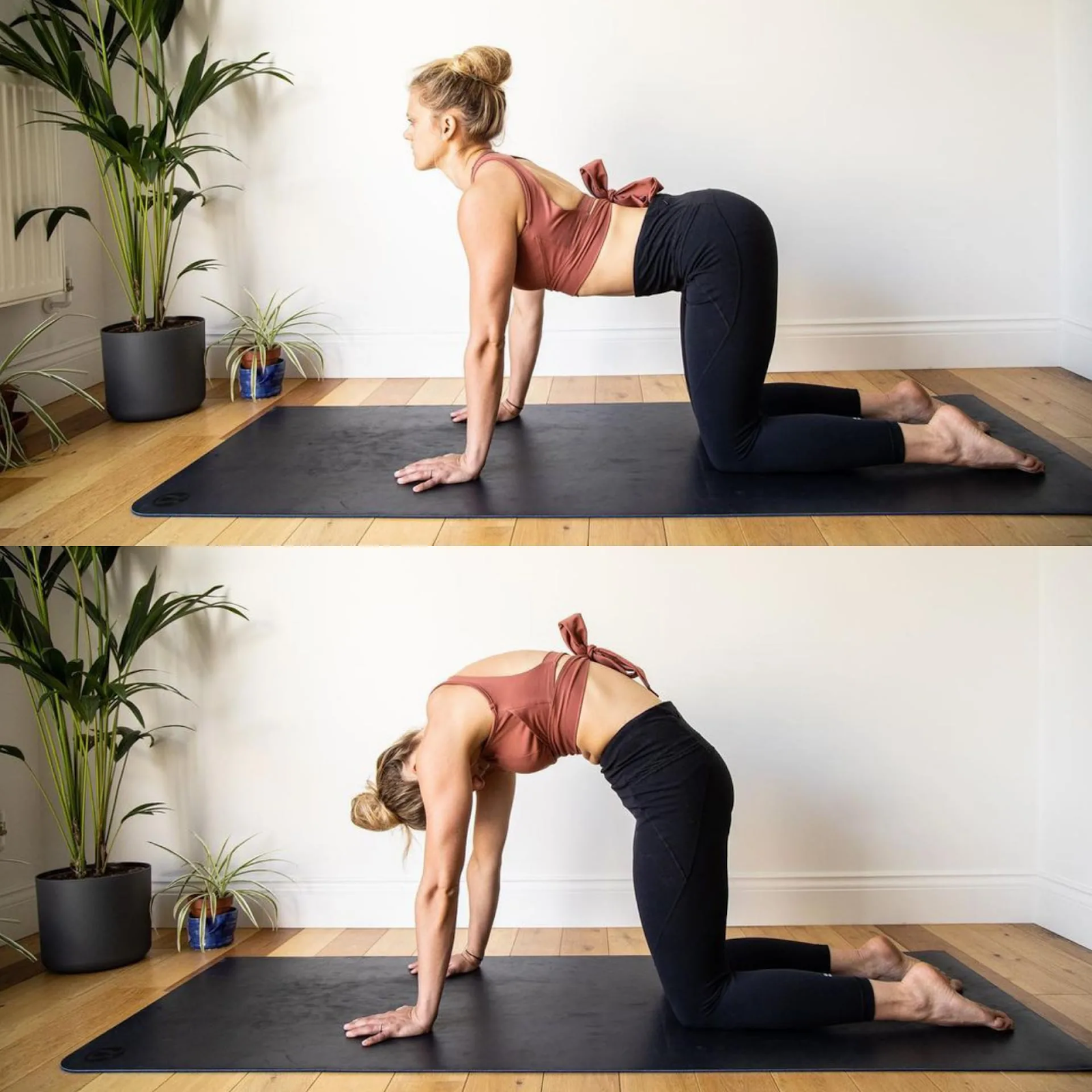 Marjariasana-Bitilasana (Cat-Cow Pose)