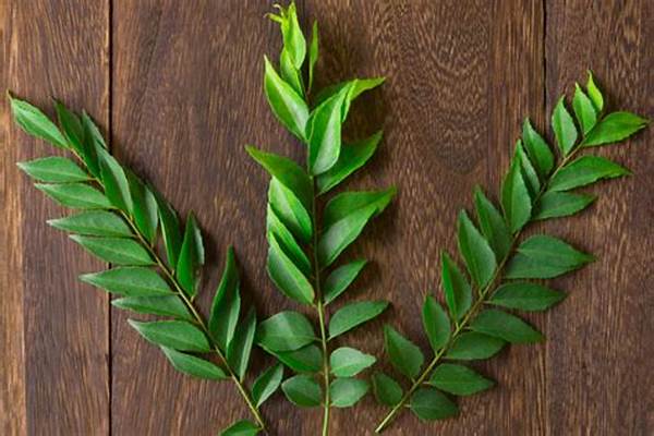 curry leaves good for clean scalp