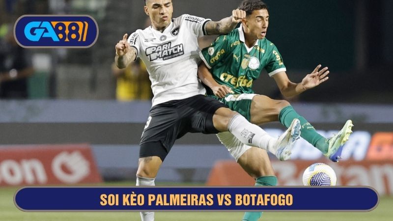Palmeiras vs Botafogo luôn là cặp đấu đỉnh cao, ngang sức tại Brazil