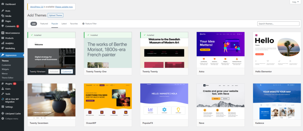 How to Make a WordPress Website