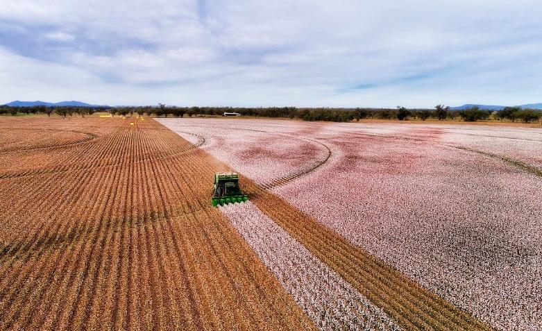 ICE cotton gains on trade deal, but weak exports limit rise
