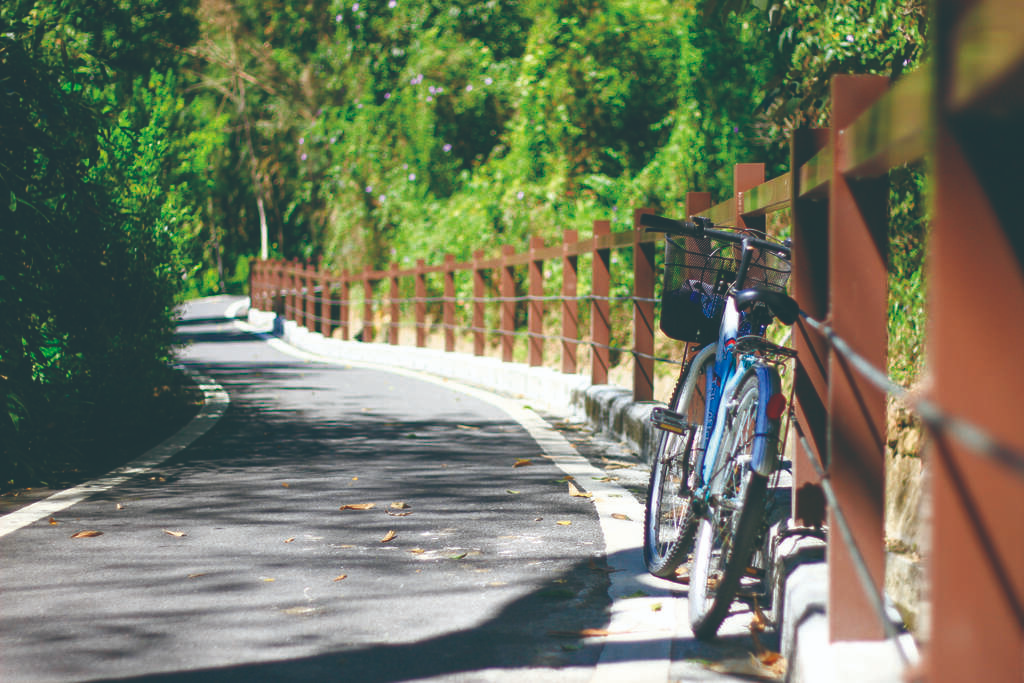 A peaceful cycling path shaded by lush green trees near Sun Moon Lake
