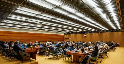 2151ª sesión, 91º período de sesiones, Comité para la Eliminación de la Discriminación contra la Mujer (CEDAW)