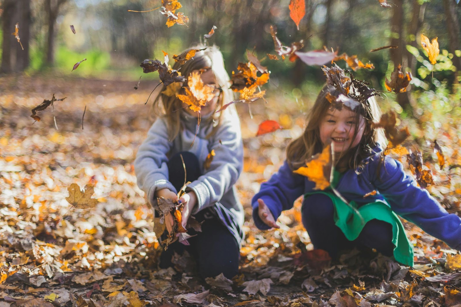 Two young children playing with leaves in a wooded area