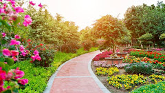 Brick Path and Flowerbeds in Park