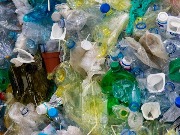 10 Disposable Plastics To Cut From Your Life