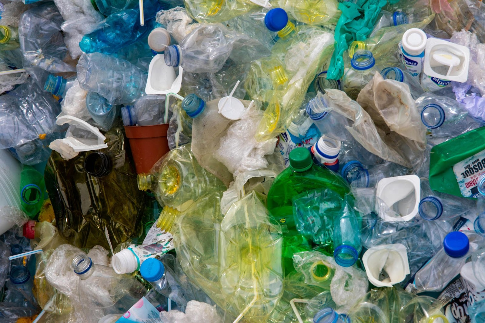 10 Disposable Plastics To Cut From Your Life