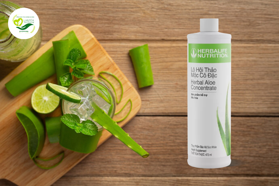 Giới thiệu về Lô hội thảo mộc cô đặc Herbalife