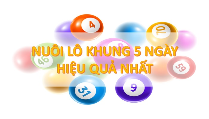  Những Bí Quyết Nuôi Lô Khung