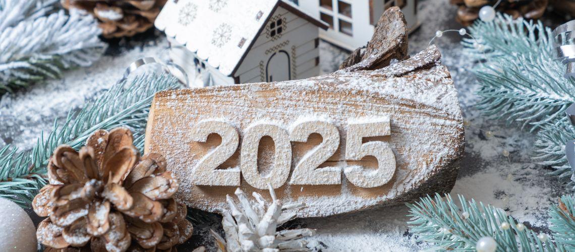 2025 Новий рік: Рік кого, що очікувати для всіх знаків