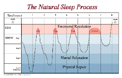 sleepchart-s